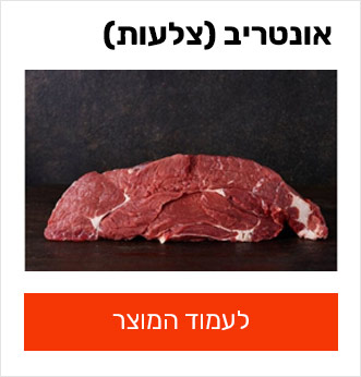 אונטריב